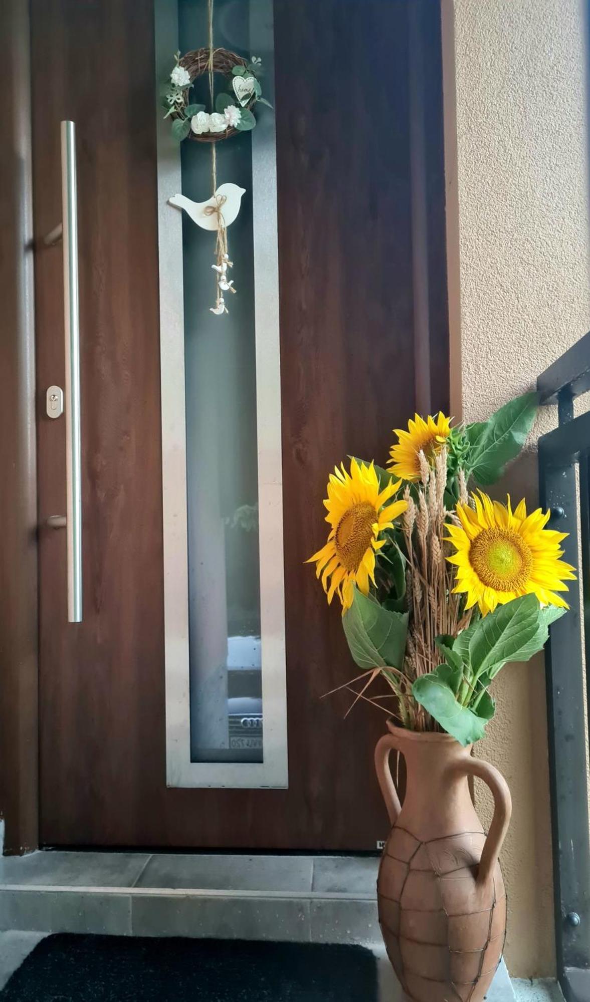 Gozdarjeva Hiska M&K Vila Dobrovnik Exterior foto