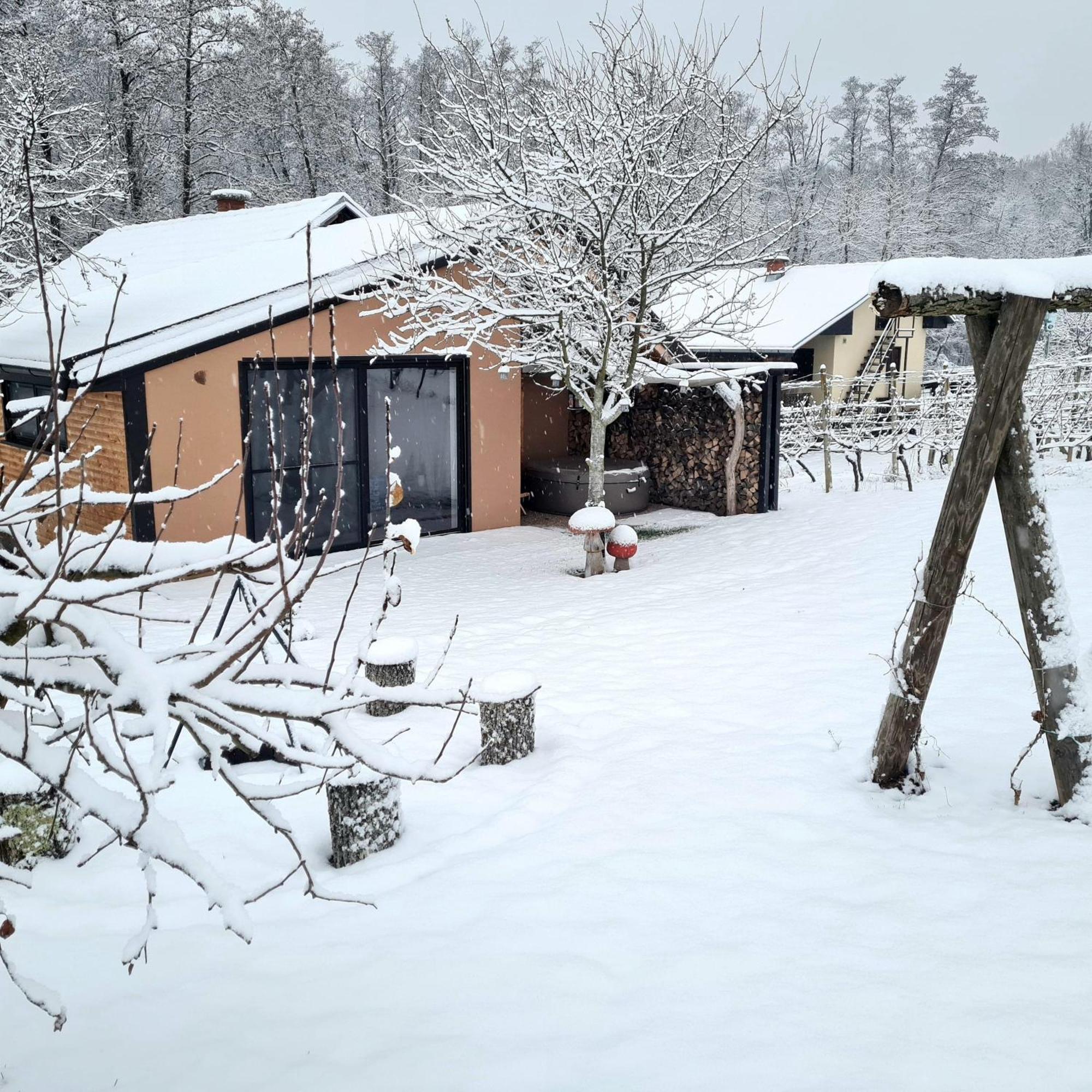 Gozdarjeva Hiska M&K Vila Dobrovnik Exterior foto
